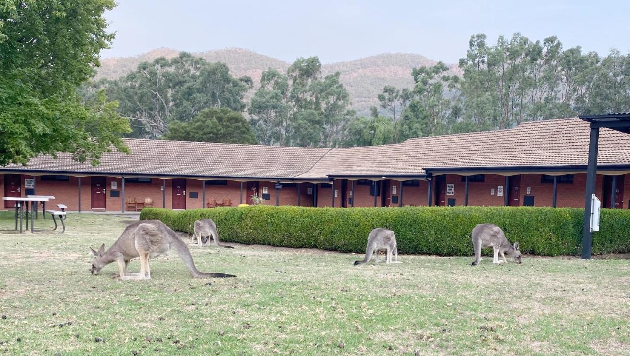 Country Plaza Halls Gap Exterior foto