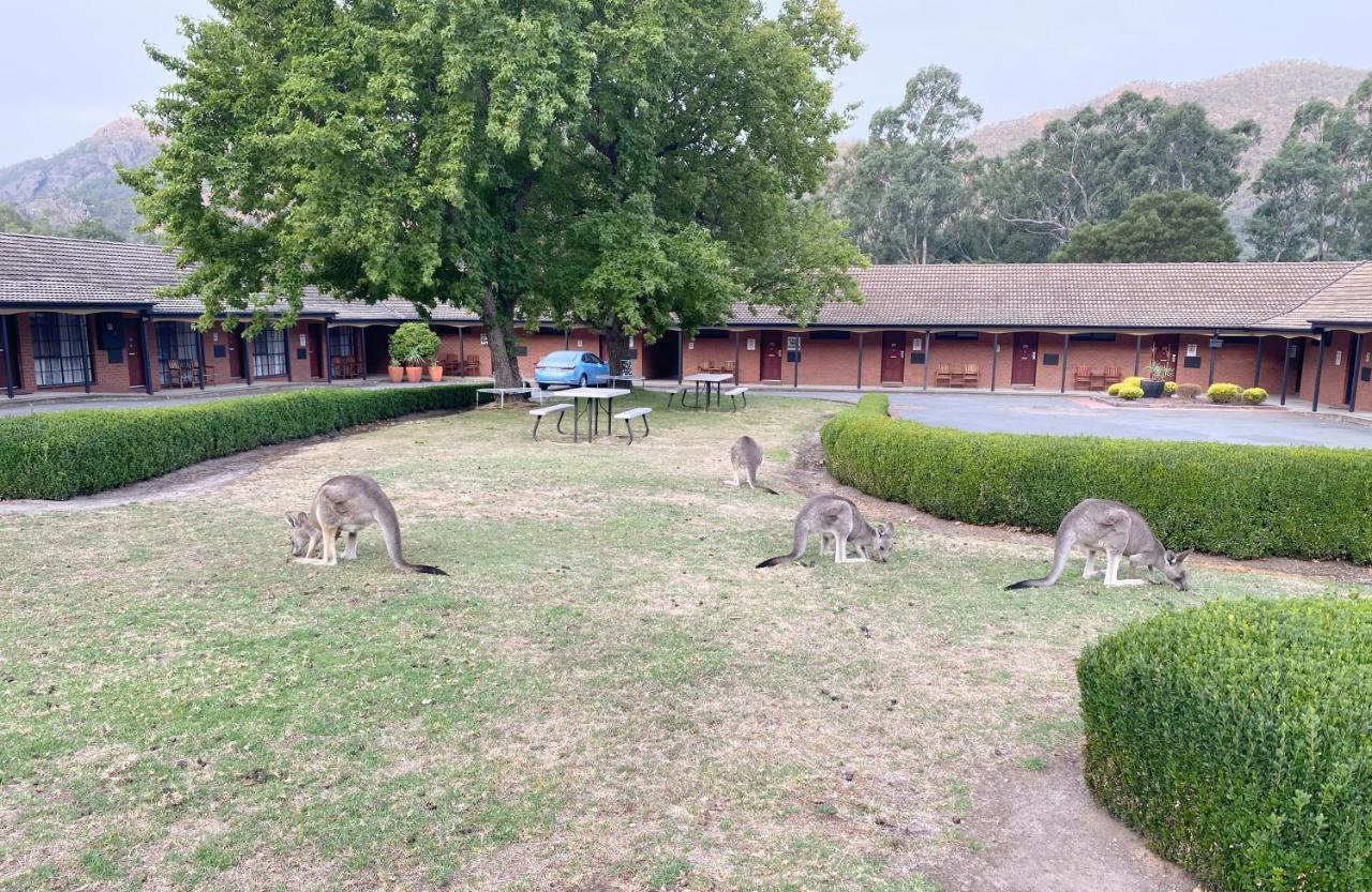 Country Plaza Halls Gap Exterior foto